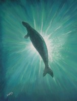 /album/galerie-de-photos-ocean/vers-la-lumi%c3%a8re-55x38%3d170%e2%82%ac-jpg/